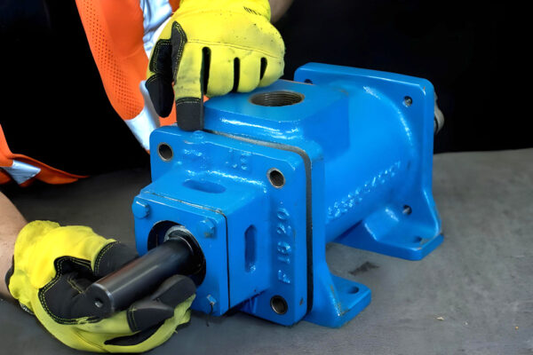 Screw Pump Training Set